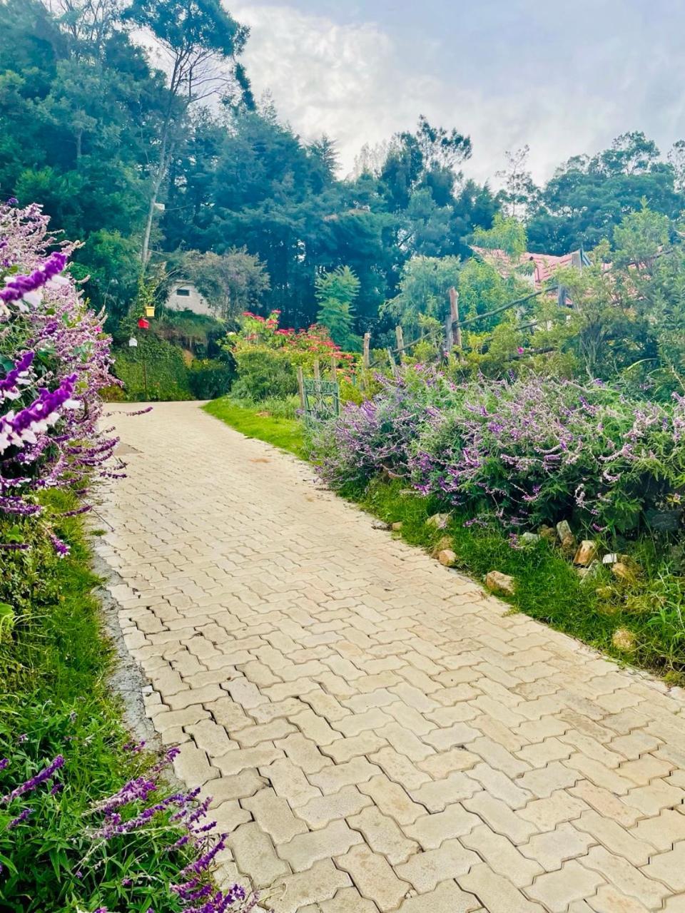 Stumpfields Ooty Exterior foto